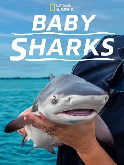 Cá Mập Con - Baby Sharks (2022)