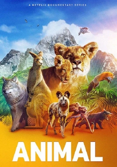 Động Vật (Phần 2) - Animal (Season 2) (2022)